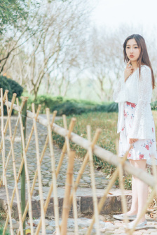 八美图